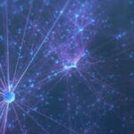 Top 5 Reasons Why HHKTHK is Gaining Popularity